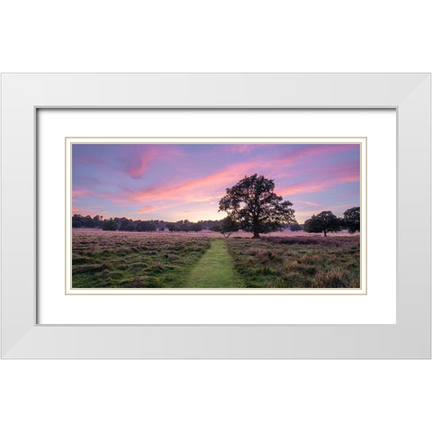 Pathway through meadow White Modern Wood Framed Art Print with Double Matting by Frank, Assaf