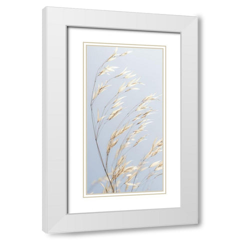 Panicle ripe Oats White Modern Wood Framed Art Print with Double Matting by Frank, Assaf