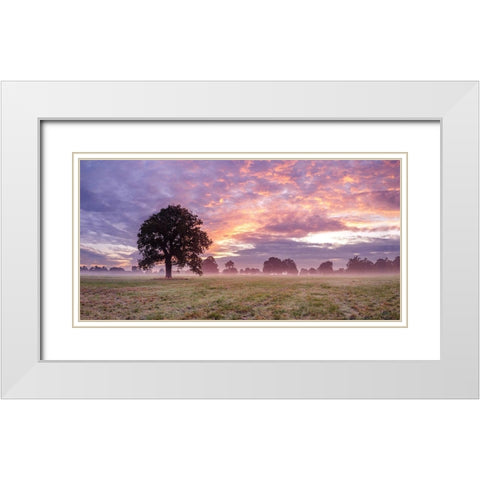 Tree in a filed at sunrise White Modern Wood Framed Art Print with Double Matting by Frank, Assaf