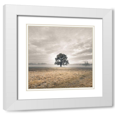 Tree in a filed at sunrise White Modern Wood Framed Art Print with Double Matting by Frank, Assaf