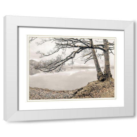 Tree by the Lake White Modern Wood Framed Art Print with Double Matting by Frank, Assaf