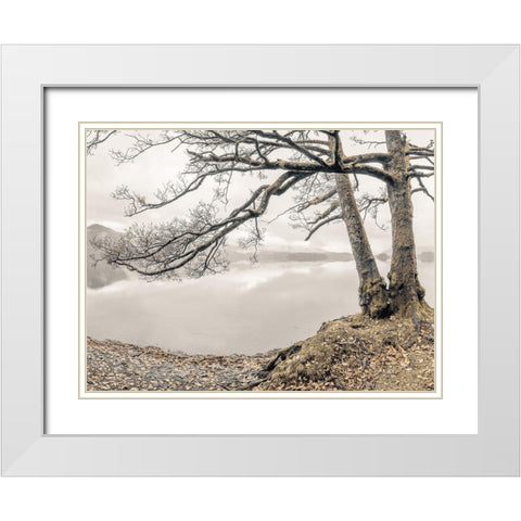 Tree by the Lake White Modern Wood Framed Art Print with Double Matting by Frank, Assaf