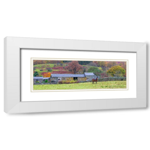 Horse in a field White Modern Wood Framed Art Print with Double Matting by Frank, Assaf