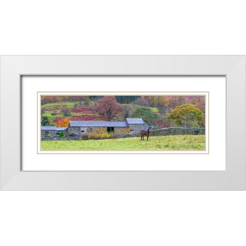 Horse in a field White Modern Wood Framed Art Print with Double Matting by Frank, Assaf