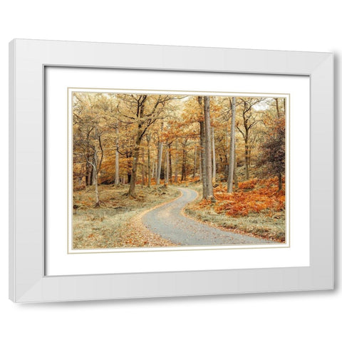 Road through forest White Modern Wood Framed Art Print with Double Matting by Frank, Assaf