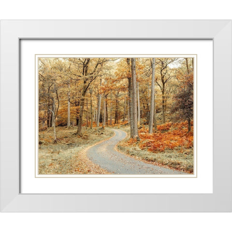 Road through forest White Modern Wood Framed Art Print with Double Matting by Frank, Assaf