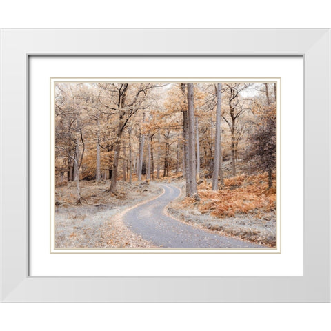Forest path-Lake District White Modern Wood Framed Art Print with Double Matting by Frank, Assaf