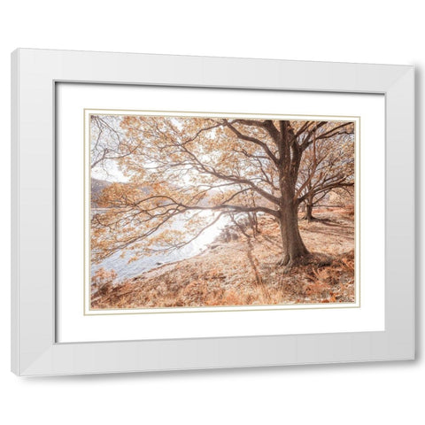 Derwentwater-Lake district White Modern Wood Framed Art Print with Double Matting by Frank, Assaf