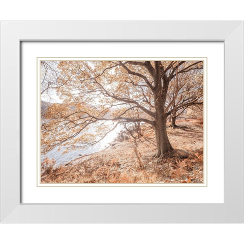 Derwentwater-Lake district White Modern Wood Framed Art Print with Double Matting by Frank, Assaf