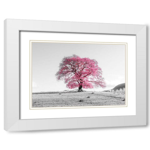Tree on a hill White Modern Wood Framed Art Print with Double Matting by Frank, Assaf