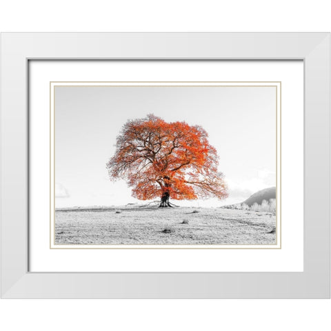 Tree on a hill White Modern Wood Framed Art Print with Double Matting by Frank, Assaf
