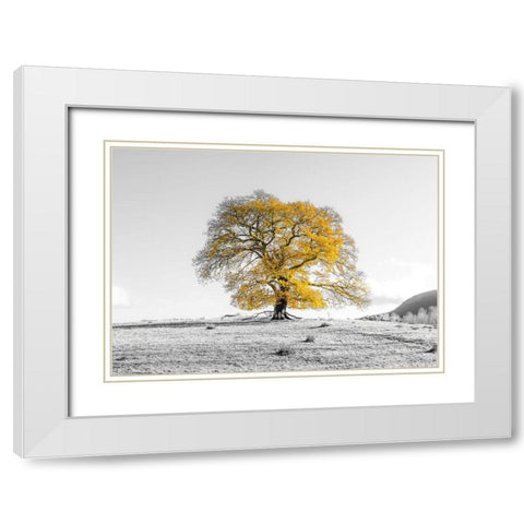 Tree on a hill White Modern Wood Framed Art Print with Double Matting by Frank, Assaf