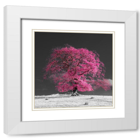 Tree on a hill-pink White Modern Wood Framed Art Print with Double Matting by Frank, Assaf