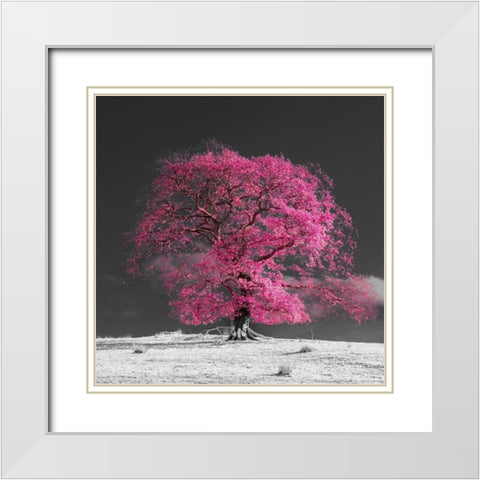 Tree on a hill-pink White Modern Wood Framed Art Print with Double Matting by Frank, Assaf