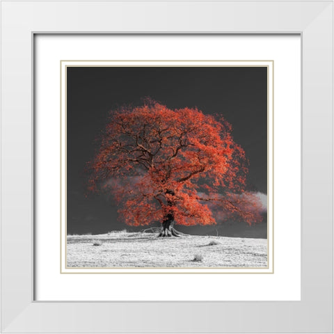 Tree on a hill-orange White Modern Wood Framed Art Print with Double Matting by Frank, Assaf