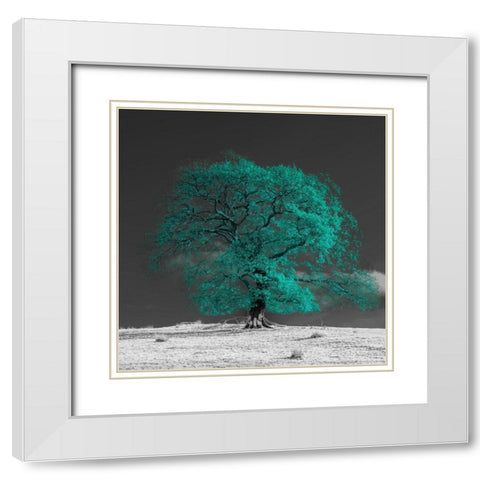 Tree on a hill-teal White Modern Wood Framed Art Print with Double Matting by Frank, Assaf