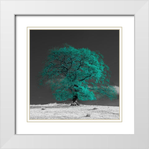 Tree on a hill-teal White Modern Wood Framed Art Print with Double Matting by Frank, Assaf