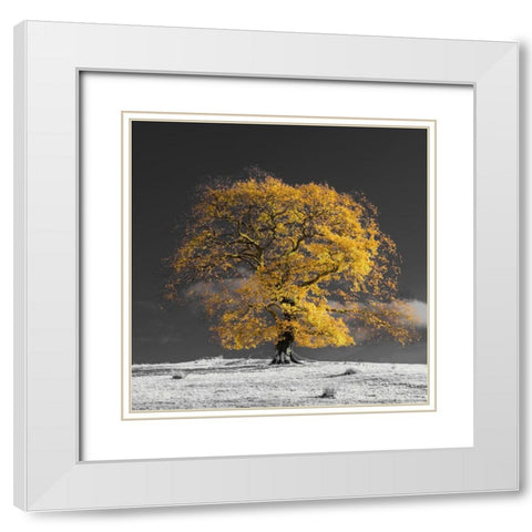 Tree on a hill-yellow-gold White Modern Wood Framed Art Print with Double Matting by Frank, Assaf