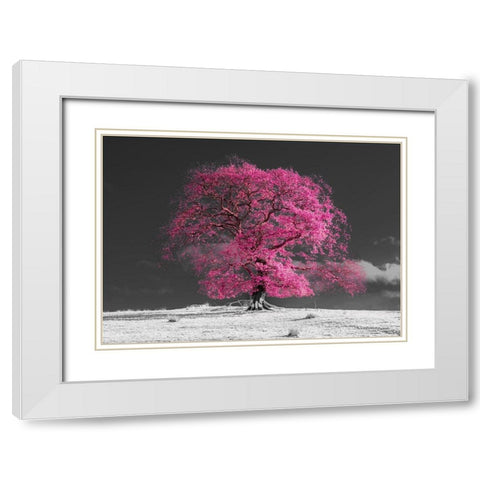 Tree on a hill-pink White Modern Wood Framed Art Print with Double Matting by Frank, Assaf