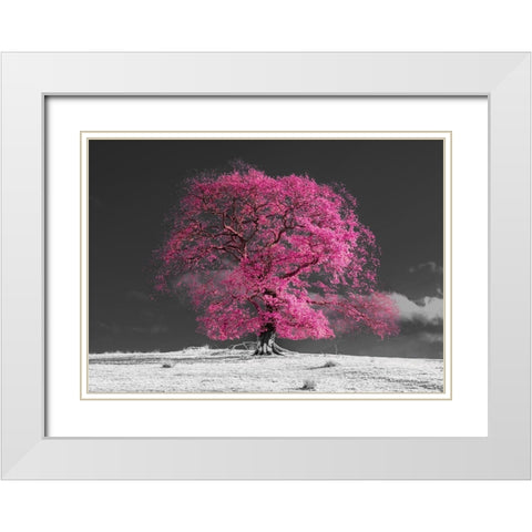 Tree on a hill-pink White Modern Wood Framed Art Print with Double Matting by Frank, Assaf