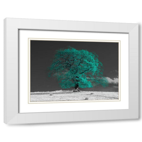 Tree on a hill-teal White Modern Wood Framed Art Print with Double Matting by Frank, Assaf