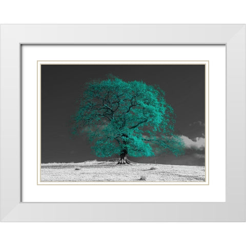 Tree on a hill-teal White Modern Wood Framed Art Print with Double Matting by Frank, Assaf