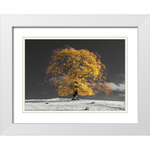Tree on a hill-yellow-gold White Modern Wood Framed Art Print with Double Matting by Frank, Assaf