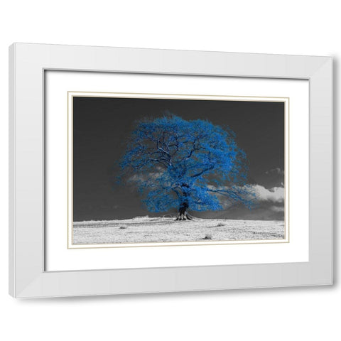 Tree on a hill-blue White Modern Wood Framed Art Print with Double Matting by Frank, Assaf