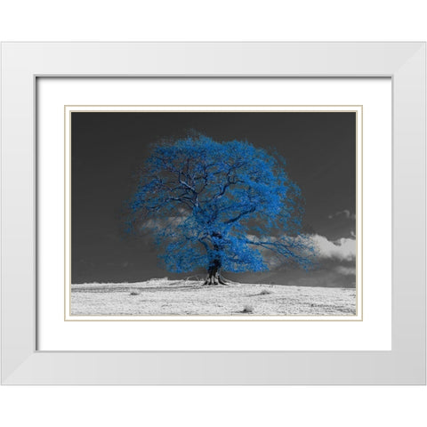 Tree on a hill-blue White Modern Wood Framed Art Print with Double Matting by Frank, Assaf