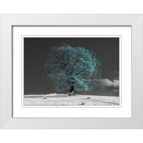 Tree on a hill-teal White Modern Wood Framed Art Print with Double Matting by Frank, Assaf