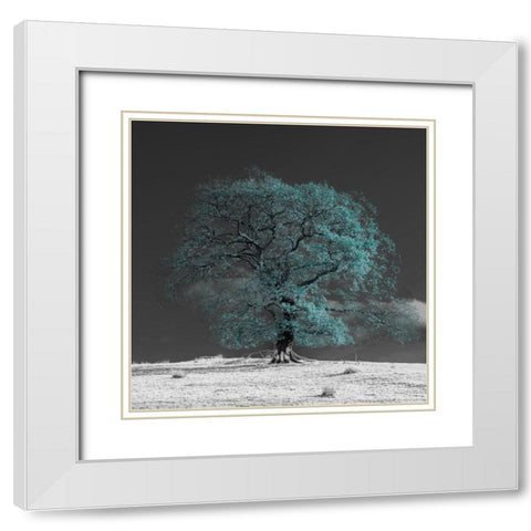 Tree on a hill-teal White Modern Wood Framed Art Print with Double Matting by Frank, Assaf