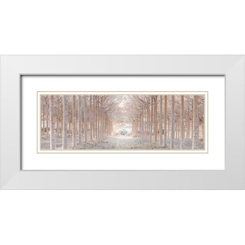 Winter forest White Modern Wood Framed Art Print with Double Matting by Frank, Assaf