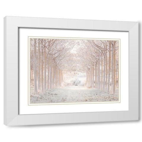 Winter forest White Modern Wood Framed Art Print with Double Matting by Frank, Assaf