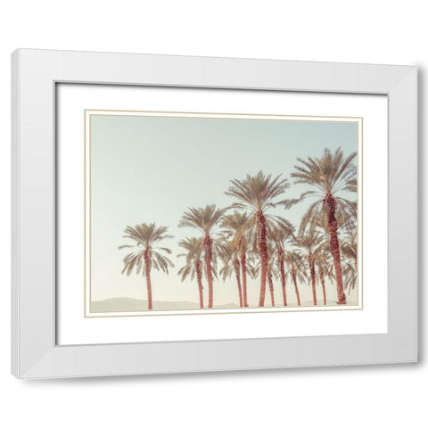 Palm Trees White Modern Wood Framed Art Print with Double Matting by Frank, Assaf