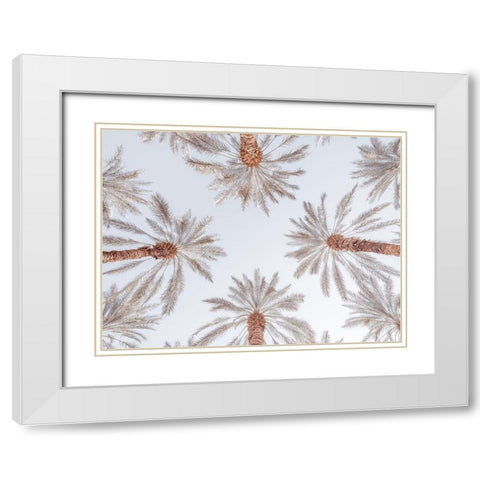Palm Trees White Modern Wood Framed Art Print with Double Matting by Frank, Assaf
