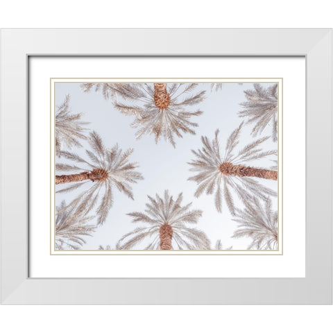 Palm Trees White Modern Wood Framed Art Print with Double Matting by Frank, Assaf