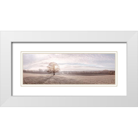Trees in meadow White Modern Wood Framed Art Print with Double Matting by Frank, Assaf
