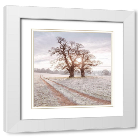Dirt road through a meadow White Modern Wood Framed Art Print with Double Matting by Frank, Assaf