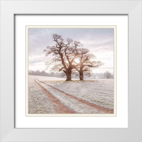 Dirt road through a meadow White Modern Wood Framed Art Print with Double Matting by Frank, Assaf