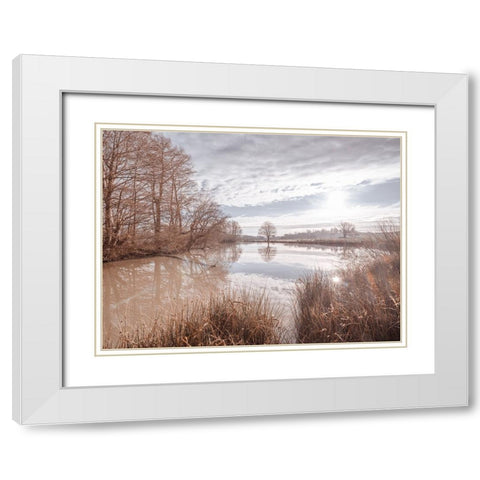 Pond reflection White Modern Wood Framed Art Print with Double Matting by Frank, Assaf
