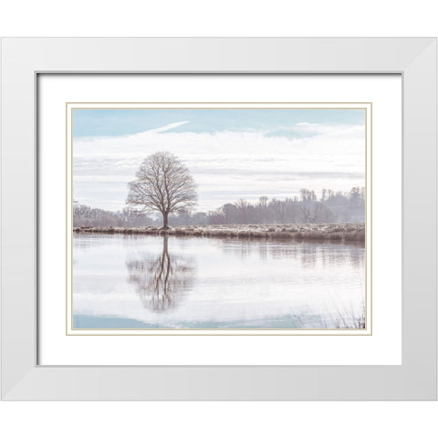 Reflection of a tree White Modern Wood Framed Art Print with Double Matting by Frank, Assaf