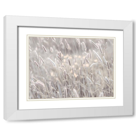 Summer meadow White Modern Wood Framed Art Print with Double Matting by Frank, Assaf