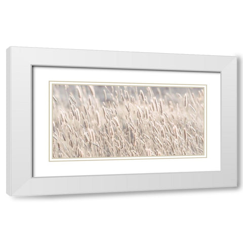 Grass in meadow White Modern Wood Framed Art Print with Double Matting by Frank, Assaf