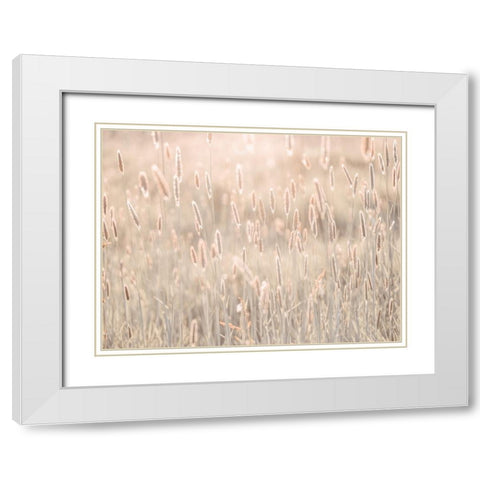 Summer meadow White Modern Wood Framed Art Print with Double Matting by Frank, Assaf