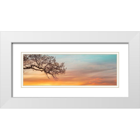 Branches at sunset White Modern Wood Framed Art Print with Double Matting by Frank, Assaf