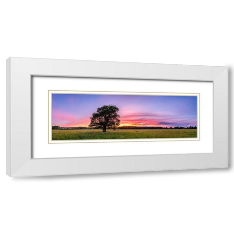 Tree at sunset White Modern Wood Framed Art Print with Double Matting by Frank, Assaf