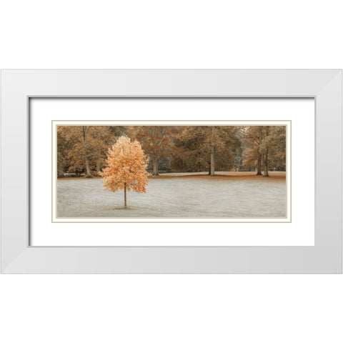 Tree in autumn park White Modern Wood Framed Art Print with Double Matting by Frank, Assaf