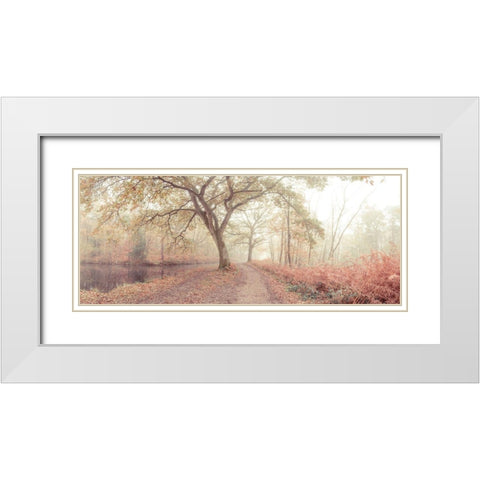 Misty forest White Modern Wood Framed Art Print with Double Matting by Frank, Assaf