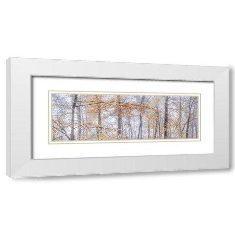 Misty forest White Modern Wood Framed Art Print with Double Matting by Frank, Assaf