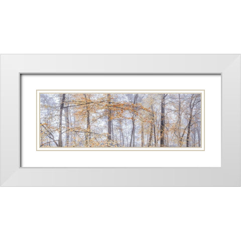 Misty forest White Modern Wood Framed Art Print with Double Matting by Frank, Assaf